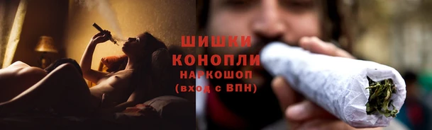 сатива Верхний Тагил