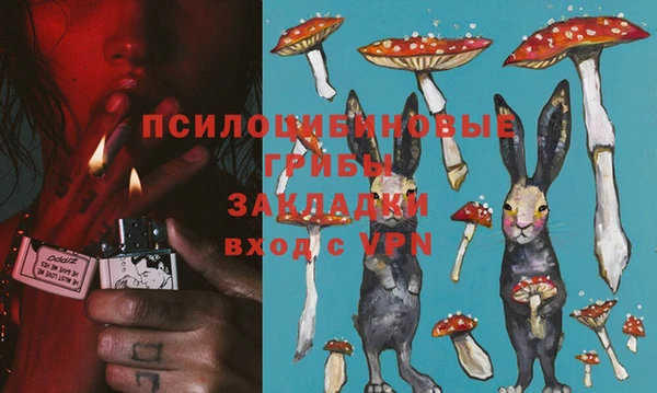 мяу мяу мука Бугульма