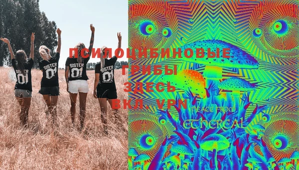 твердый Бронницы