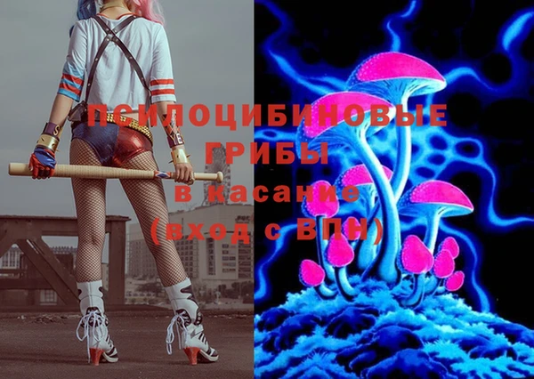 твердый Бронницы